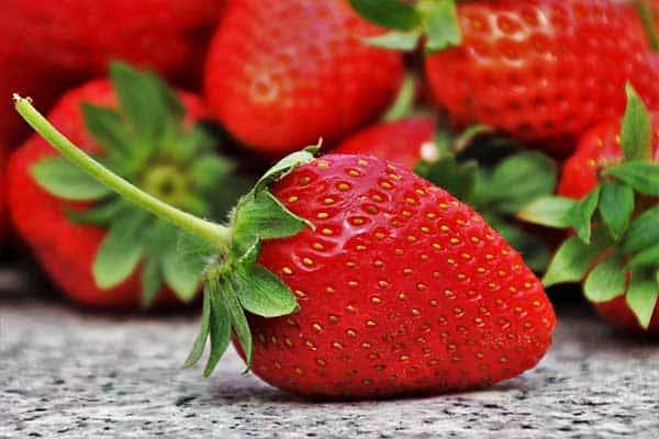 Can Eating Strawberries Give Cats An Upset Stomach?