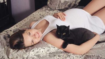 do cats know if you are pregnant
