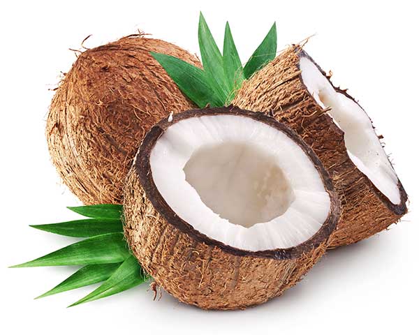 is coconut bad for cats