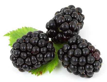 The Potential Risks of blackberries for ctas