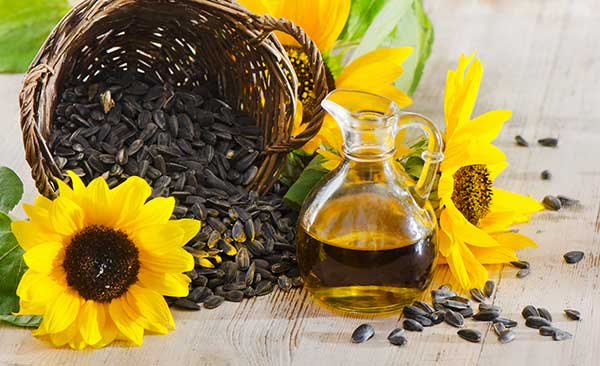 are sunflower seeds poisonous to cats