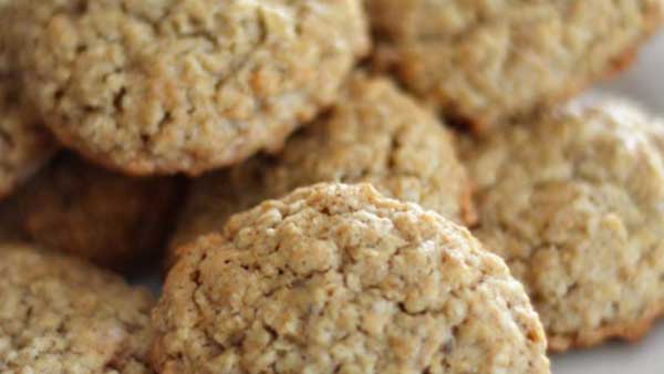 oatmeal cookies for cats