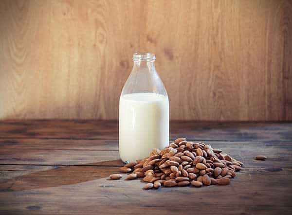 is almond milk good for cats?