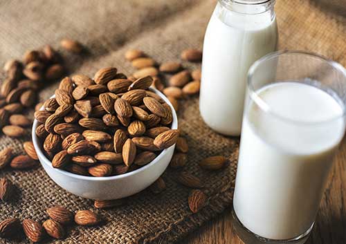 is almond milk bad for cats?