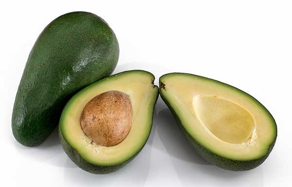 is avocado good for cats?