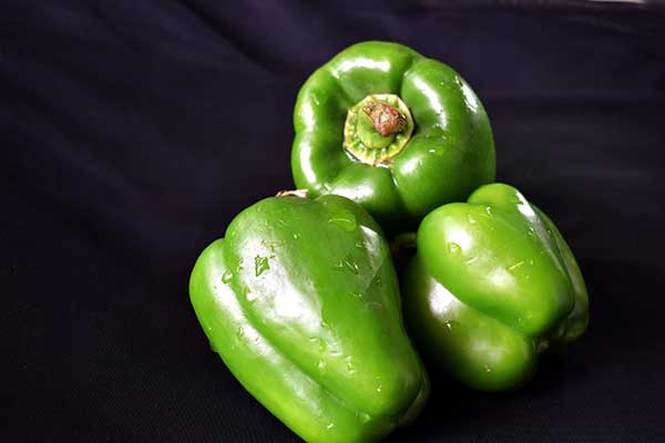 can cats eat green bell peppers?