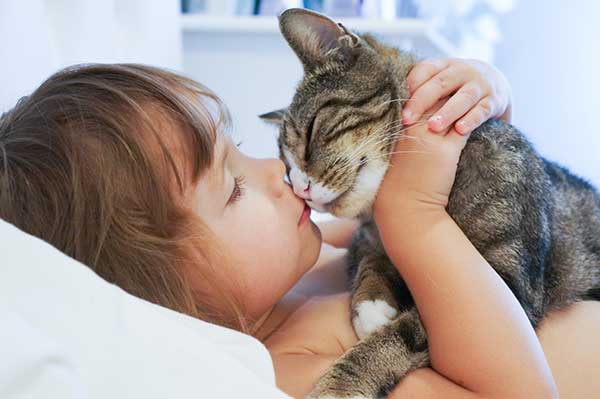 cute little girl hugging and kissing a cat