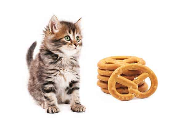 can my cat eat pretzels?