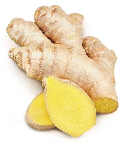 Is Ginger Safe For Cats To Eat?