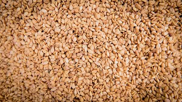 Side Effects of Sesame Seeds for Cats