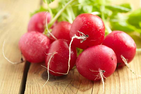 can radishes be harmful to cats?