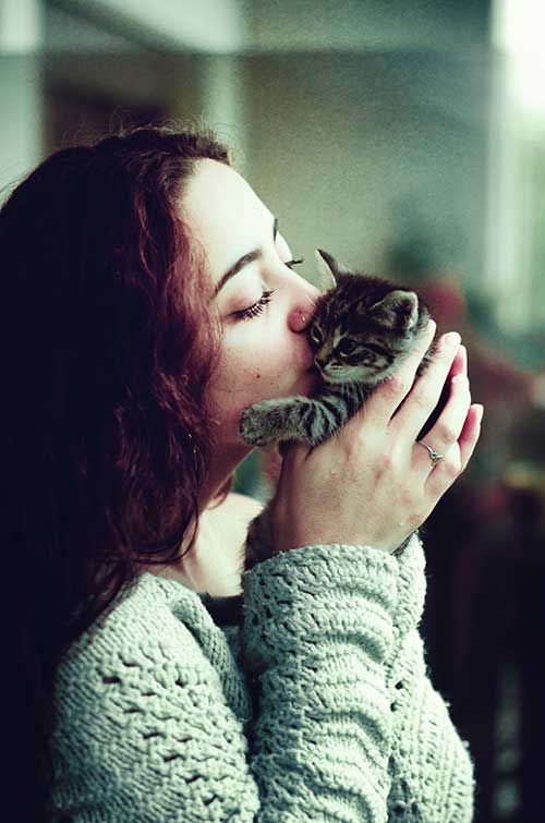Do Cats Know What Kisses Are?