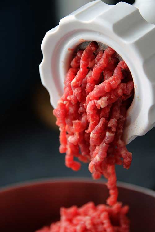 can cats eat raw beef mince?