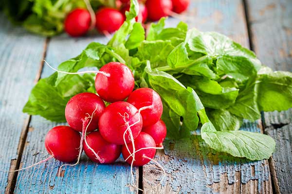 are radishes safe for cats?