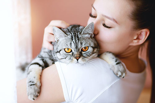 woman kissing her gray cat