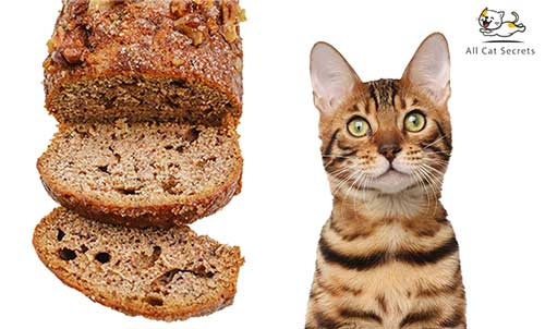 Can cats eat banana nut bread?
